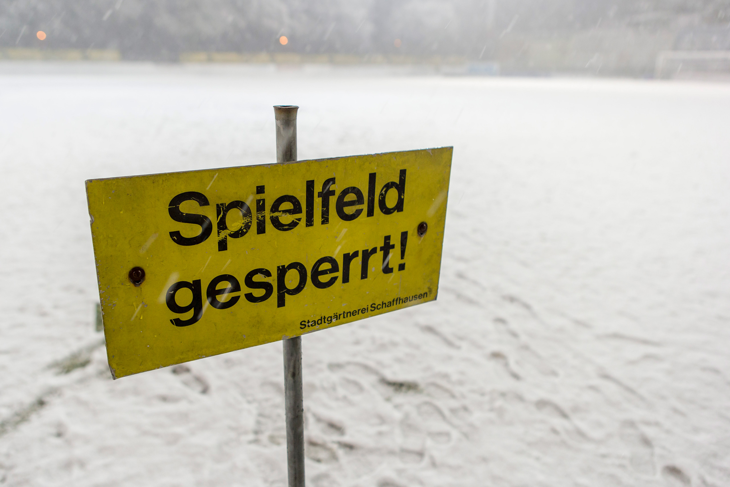 neige_SCHLS_EQIMAGES_1102331