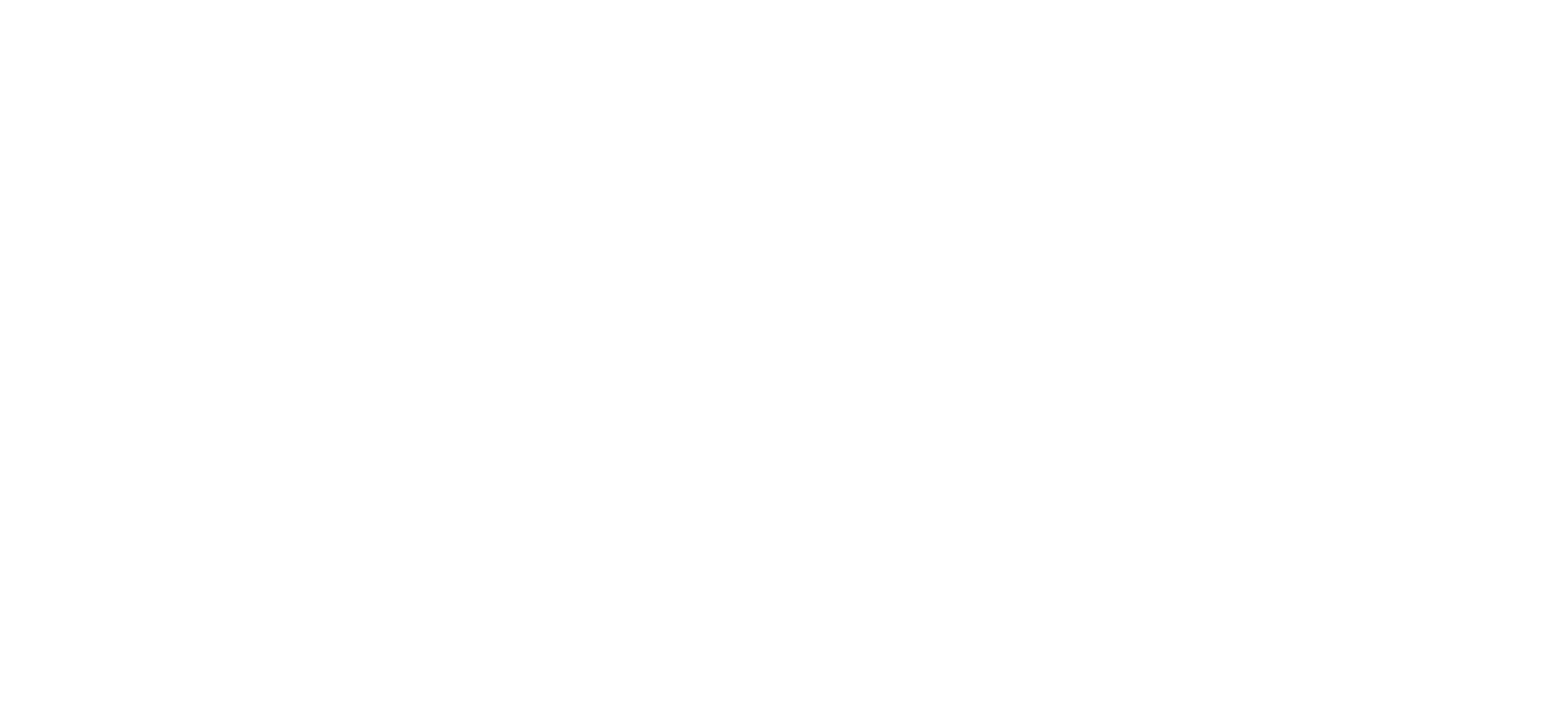 Z Renovation