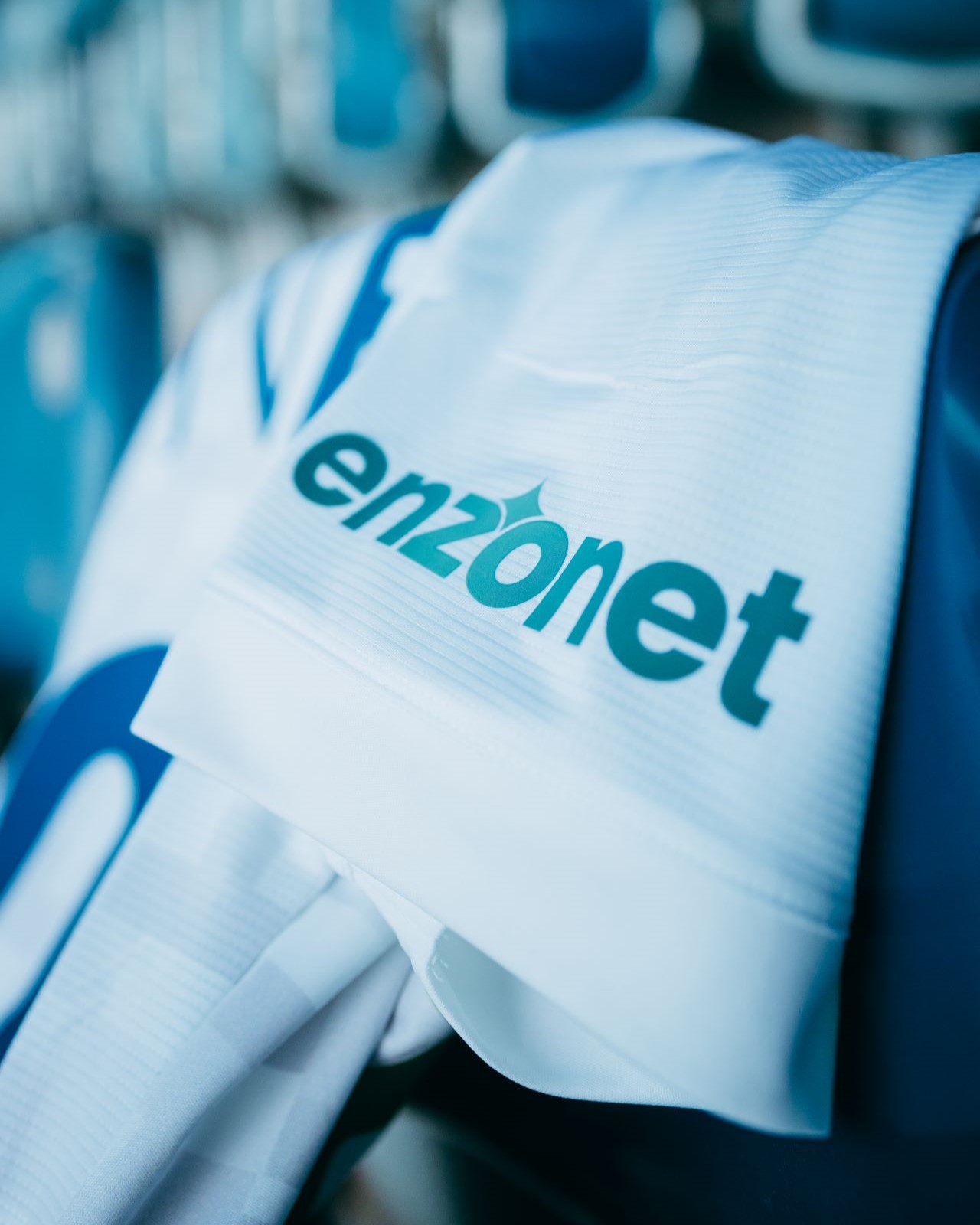 Enzonet