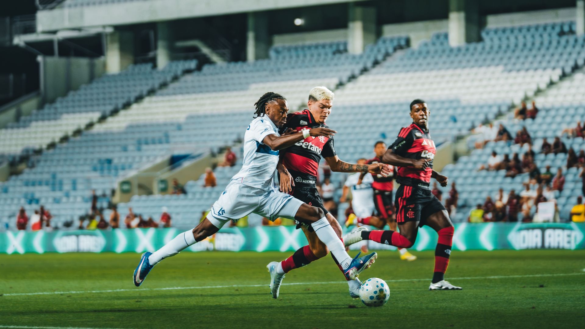 08-06-26_DSC03046_FLAMENGO-LS_@anangan_